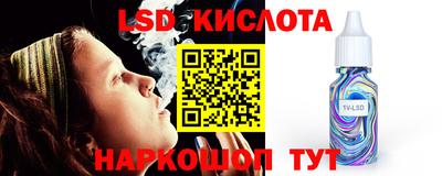 амф Гусев