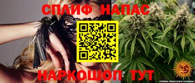 амф Гусев