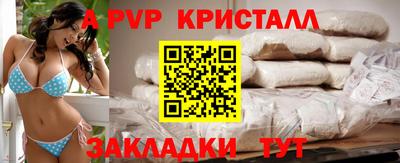 амф Гусев