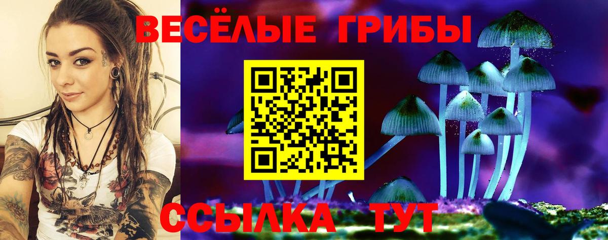 Псилоцибиновые грибы MAGIC MUSHROOMS Мыски