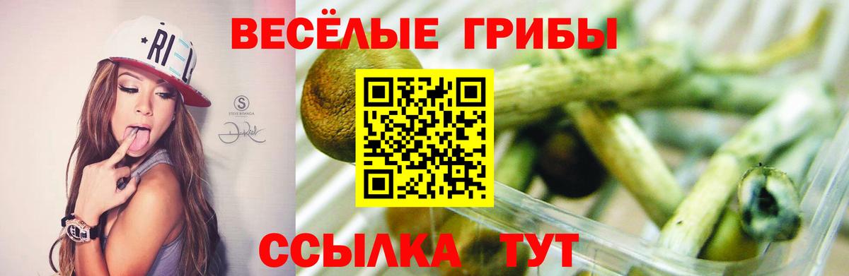 Галлюциногенные грибы GOLDEN TEACHER  Вход с VPN  цены   Мыски 